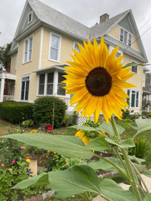 Main&Central Airbnb Suites1&2 Wellsville Rentals